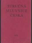 Stručná mluvnice česká - náhled