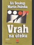 Vrah na útěku - náhled