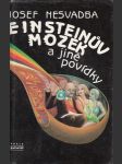 Einsteinův mozek a jiné povídky - náhled