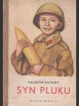 Syn pluku - náhled