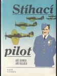 Stíhací pilot - náhled