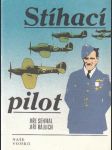 Stíhací pilot - náhled