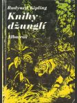 Knihy džunglí - náhled