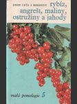 Rybíz, angrešt, maliny, ostružiny a jahody - náhled