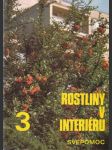 Rostliny v interieru - náhled