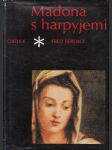 Madona s harpyjemi : román o Andreovi del Sarto - náhled