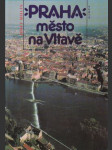 Praha město na Vltavě - náhled