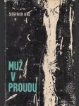 Muž v proudu - náhled