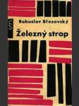 Železný strop - náhled