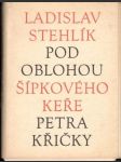 Pod oblohou Šípkového keře Petra Křičky - náhled