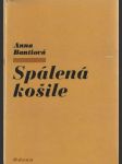 Spálená košile - náhled