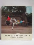 Chinese Martial Arts - Teach Yourself - náhled