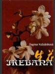 Ikebana - náhled