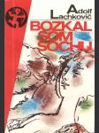 Bozkal som sochu (malý formát) - náhled