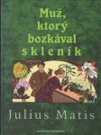 Muž, ktorý bozkával skleník (malý formát) - náhled