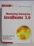 Mastering Enterprise JavaBeans 3.0 - náhled