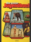 Das grosse Jugendbuch 23. fogle (veľký formát) - náhled
