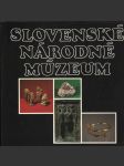 Slovenské národné múzeum - náhled