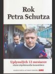 Rok Petra Schutza - náhled