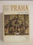 Praha středověká: Architektura, sochařství, malířství, umělecké řemeslo - náhled