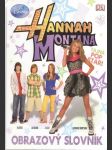 Hannah Montana - obrazový slovník - náhled