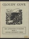 Cloudy Cove - náhled