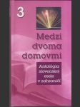 Medzi dvoma domovmi 3 - náhled