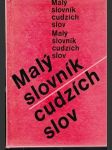 Malý slovník cudzích slov (malý formát) - náhled