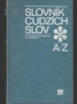 Slovník cudzích slov (veľký formát) - náhled