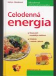 Celodenná energia - náhled