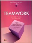 Teamwork - náhled