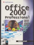 Office 2000 professional - náhled