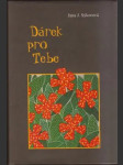 Dárek pro Tebe (malý formát) - náhled