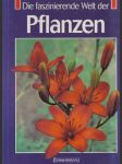 Die faszinierede Welt der Pflanzen (veľký formát) - náhled