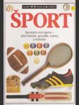 Šport - Spoznajte svet športu (veľký formát) - náhled