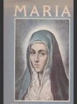 Maria Die Madonna in der Kunst (veľký formát) - náhled