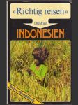 Indonesien Richtig reisen - náhled