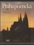 Praha poetická (veľký formát) - náhled
