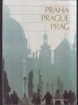 Praha, Prag, prague (malý formát) - náhled