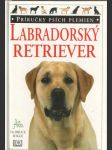 Labradorský retriever - náhled