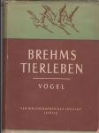 Brehms Tierleben Vőgel (veľký formát) - náhled