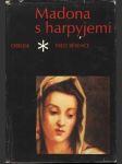 Madona s harpyjemi (Andrea del Salto) - náhled