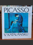 Picasso v Katalánsku (25,5 x 27cm) - náhled