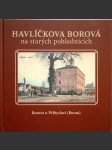 Havlíčkova Borová na starých pohlednicích - náhled