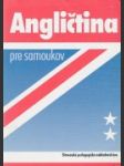 Angličtina pre samoukov - náhled