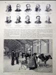 Oceloryt paříž 1889 bretaňské krávy - náhled