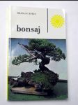 Bonsaj - náhled