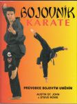 Bojovník karate - náhled