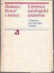 Učebnice patologické anatomie - Učebnice pro lékařské fakulty - náhled