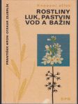 Kapesní atlas - Rostliny luk, pastvin, vod a bažin - náhled